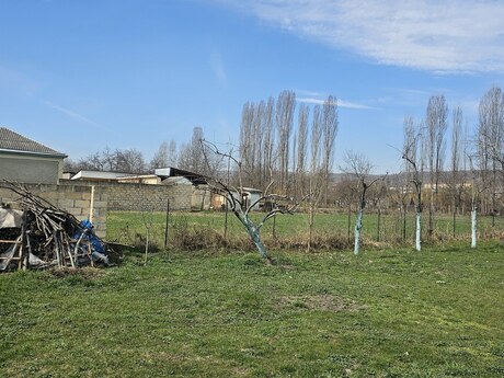 Torpaq - Qusar - 7.5 sot
