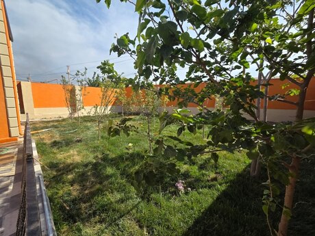 3 otaqlı həyət evi/bağ evi - Biləcəri q. - 90 m²