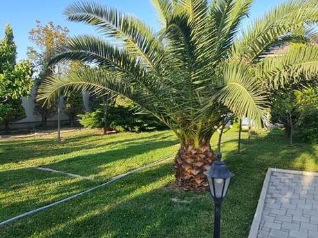 5 otaqlı həyət evi/bağ evi - Mərdəkan q. - 350 m²
