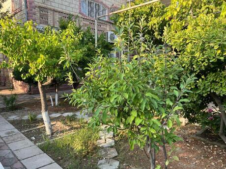 7 otaqlı həyət evi/bağ evi - Görədil q. - 260 m²