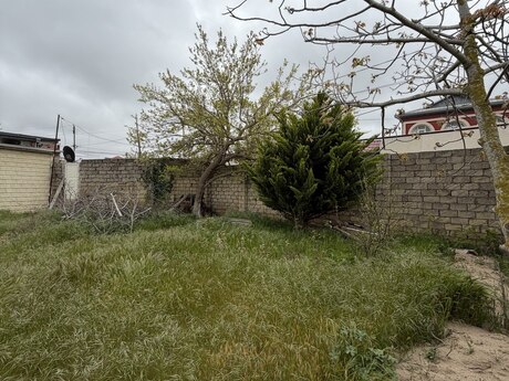 Elan №6122680 - Bakı, Novxanı q., 6.4 sot