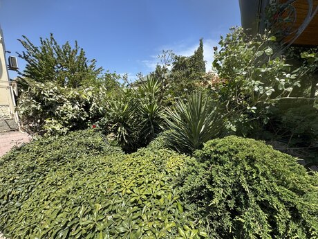 6 otaqlı həyət evi/bağ evi - Görədil q. - 300 m²