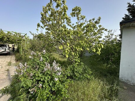 4 otaqlı həyət evi/bağ evi - Fatmayı q. - 100 m²