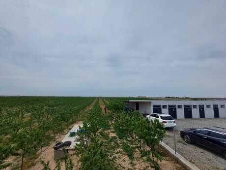 Obyekt - Türkan q. - 20000 m²