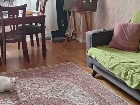 2 otaqlı yeni tikili - Qara Qarayev m. - 65 m²