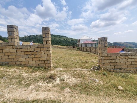 Torpaq - Şamaxı - 6 sot