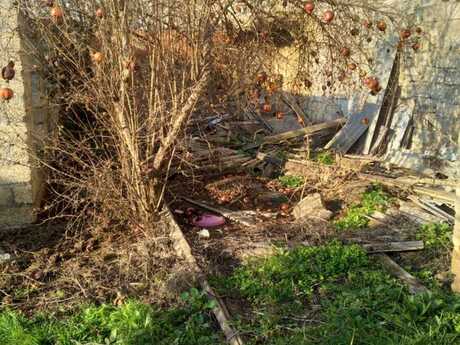 2 otaqlı həyət evi/bağ evi - Yeni Suraxanı q. - 70 m²