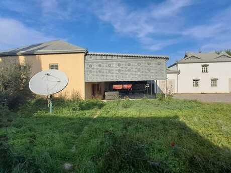 Obyekt - Saatlı - 20000 m²