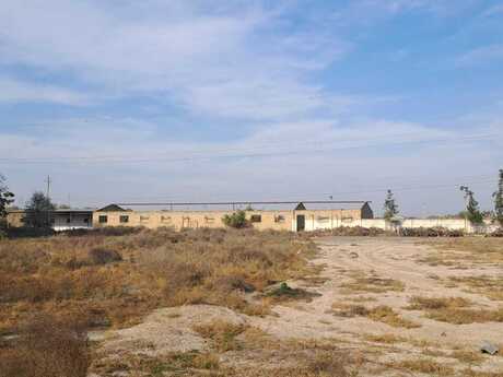 Obyekt - Saatlı - 20000 m²