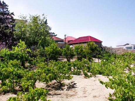 6 otaqlı həyət evi/bağ evi - Sumqayıt - 210 m²