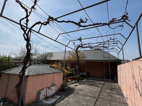 6 otaqlı həyət evi/bağ evi - Zaqatala - 300 m²