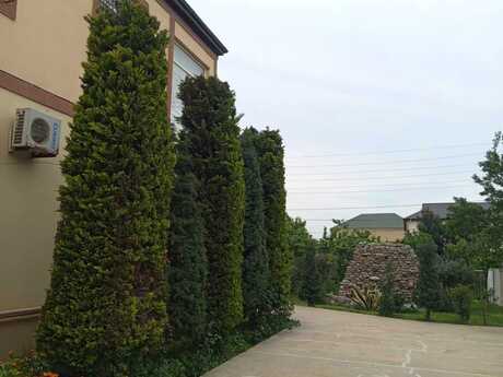 7 otaqlı həyət evi/bağ evi - Novxanı q. - 250 m²