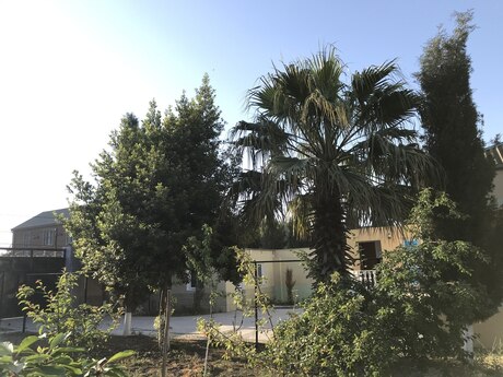 3 otaqlı həyət evi/bağ evi - Mərdəkan q. - 110 m²
