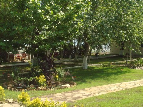 Obyekt - Novxanı q. - 4000 m²