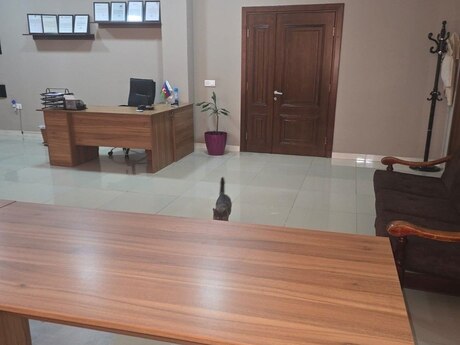 2-комн. офис - Насиминский  р. - 70 м²