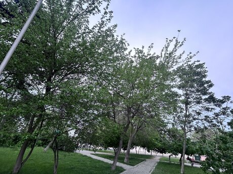 2 otaqlı köhnə tikili - Qara Qarayev m. - 40 m²