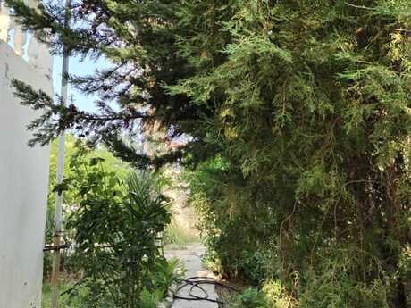 5 otaqlı həyət evi/bağ evi - Qobustan q. - 200 m²