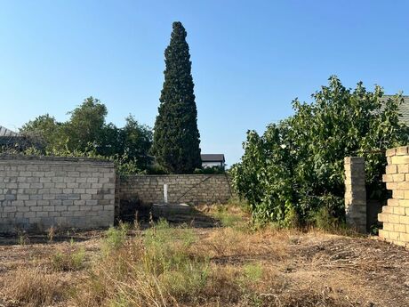 2 otaqlı həyət evi/bağ evi - Bilgəh q. - 100 m²