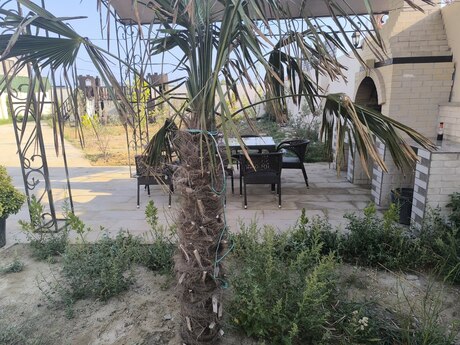 7 otaqlı həyət evi/bağ evi - Novxanı q. - 271 m²