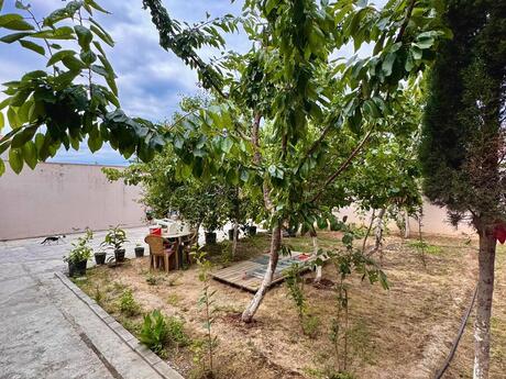 7 otaqlı həyət evi/bağ evi - Mərdəkan q. - 450 m²