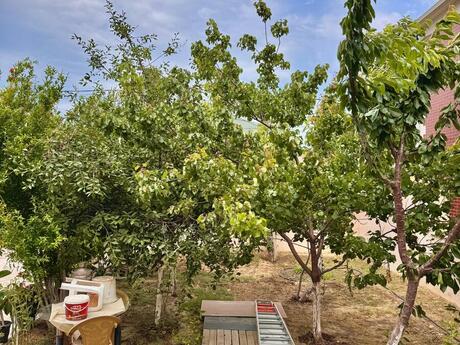 7 otaqlı həyət evi/bağ evi - Mərdəkan q. - 450 m²