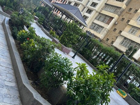 3 otaqlı yeni tikili - Nəsimi r. - 115 m²