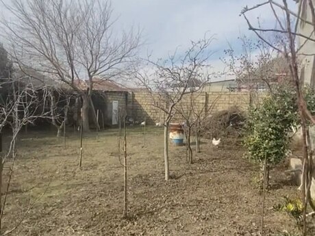 6 otaqlı həyət evi/bağ evi - Zığ q. - 290 m²