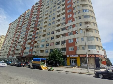 Şah İsmayıl Xətai m.