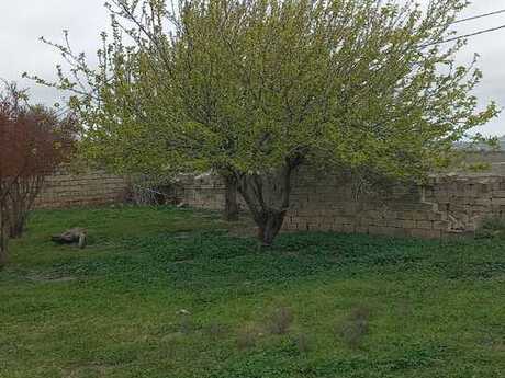 Torpaq - Saray q. - 9 sot