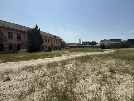 Torpaq - Böyükşor q. - 40 sot