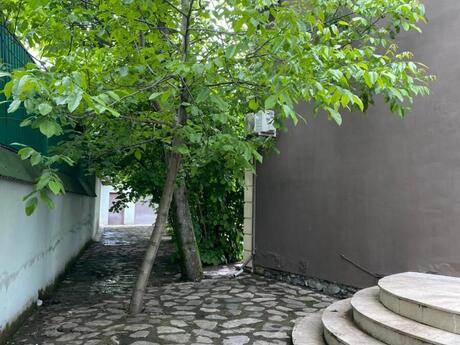 4 otaqlı həyət evi/bağ evi - Qəbələ - 130 m²