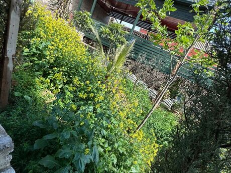 4 otaqlı həyət evi/bağ evi - Novxanı q. - 95 m²