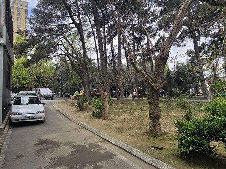2 otaqlı köhnə tikili - Memar Əcəmi m. - 52 m²