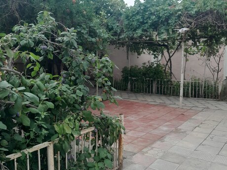 3 otaqlı həyət evi/bağ evi - Sumqayıt - 110 m²