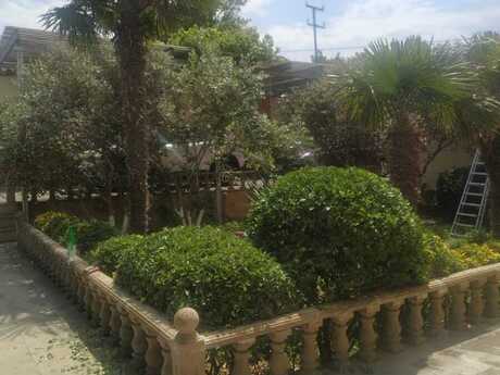 4 otaqlı həyət evi/bağ evi - Novxanı q. - 200 m²