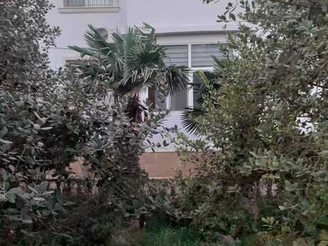 4 otaqlı həyət evi/bağ evi - Novxanı q. - 200 m²