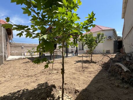 3 otaqlı həyət evi/bağ evi - Saray q. - 120 m²