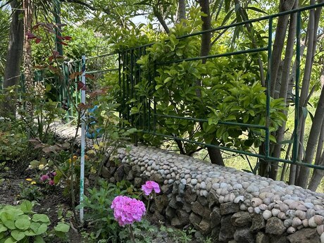 7 otaqlı həyət evi/bağ evi - Novxanı q. - 250 m²