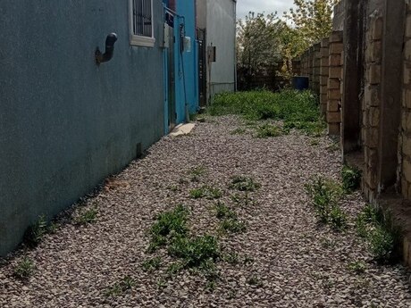 1 otaqlı həyət evi/bağ evi - Masazır q. - 25 m²