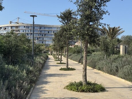 6 otaqlı həyət evi/bağ evi - Nardaran q. - 390 m²