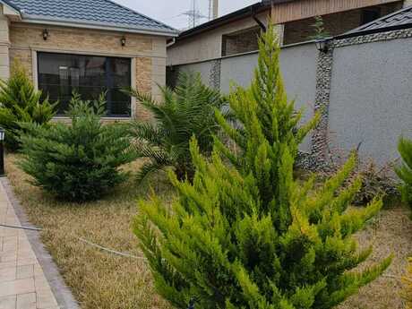 4 otaqlı həyət evi/bağ evi - Mərdəkan q. - 190 m²