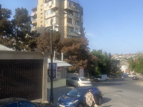 Obyekt - Qaraçuxur q. - 45 m²