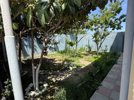 5 otaqlı həyət evi/bağ evi - Maştağa q. - 180 m²