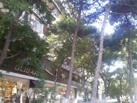 2 otaqlı köhnə tikili - Azadlıq Prospekti m. - 65 m²