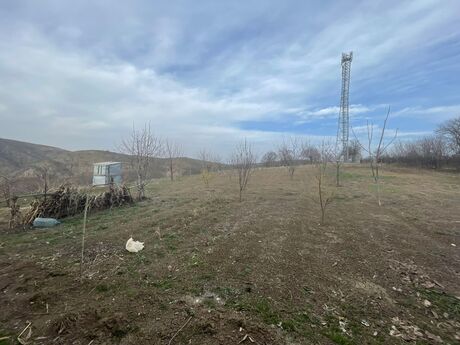 3 otaqlı həyət evi/bağ evi - Gədəbəy - 120 m²
