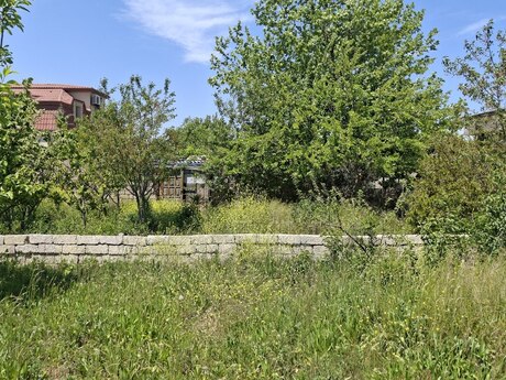 Torpaq - Qala q. - 25 sot