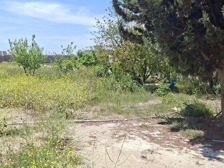 Torpaq - Qala q. - 25 sot