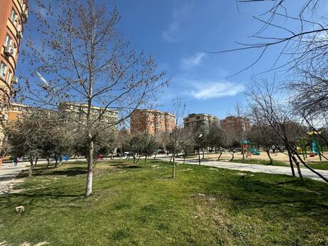 Elan №6128665 - Bakı, Masazır q., 2 otaqlı, 40 m², 6/7 mərtəbə