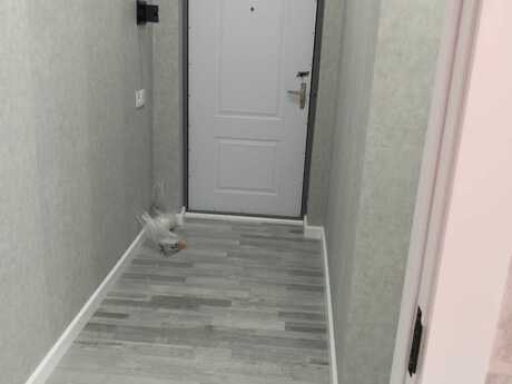 1 otaqlı köhnə tikili - Yasamal r. - 35 m²