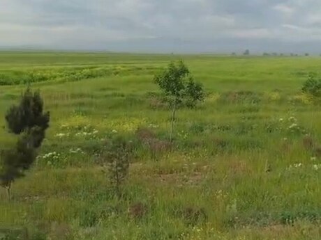 Участок - Геранбой - 5500 сот